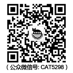 公众微信号cat5298